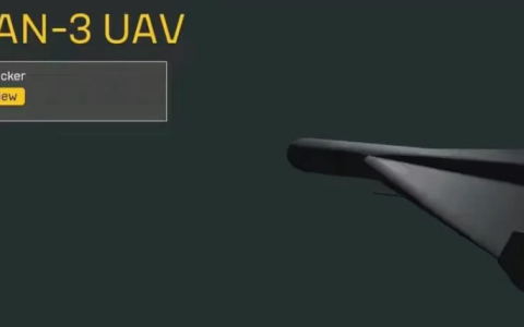 龙哥的提议太“激进”，把白头鹰都给吓着了