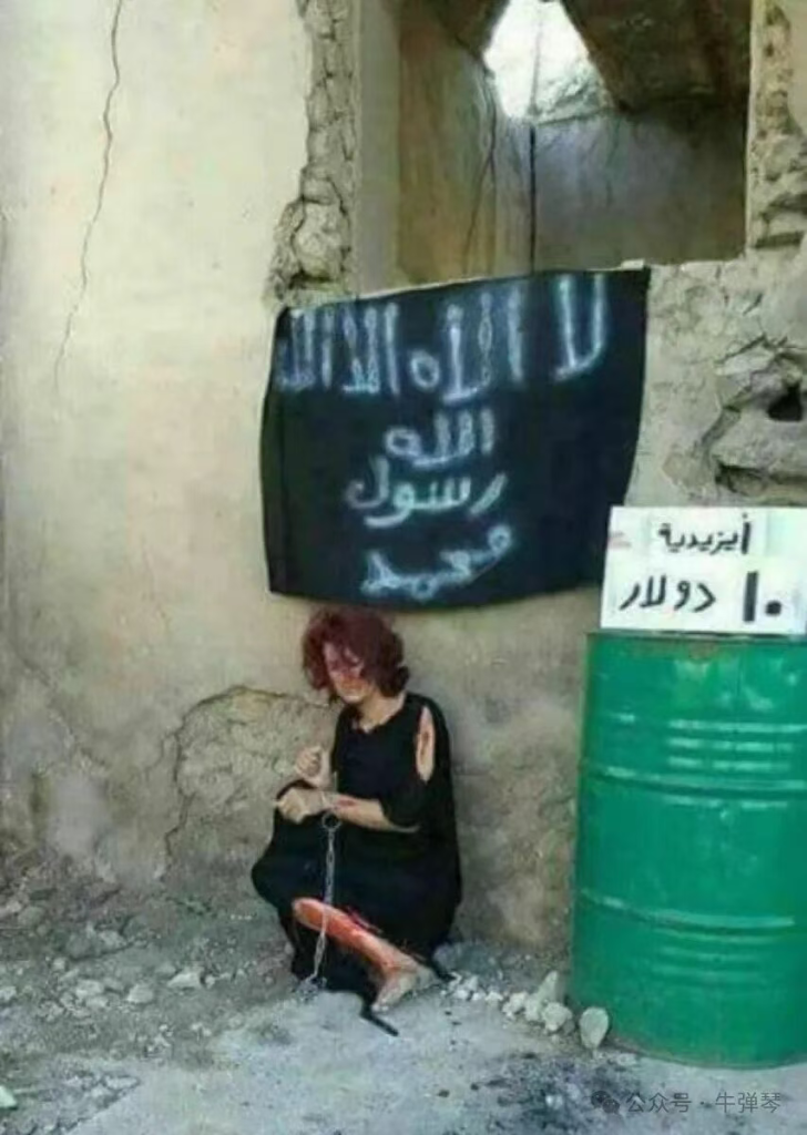 美国迎来一位最特殊客人，世界哭笑不得