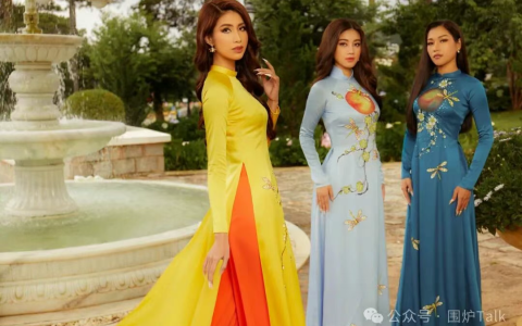 越南真正的隐患在萧墙之内