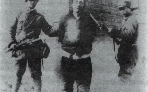 养鸡：尤其人民军队，更是天下难找