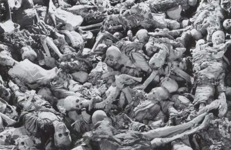 九三大阅兵,夺回中国人民应有的胜利果实