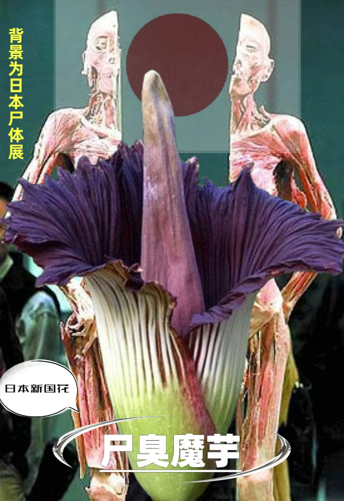 石平卖国求荣对咱们的启示