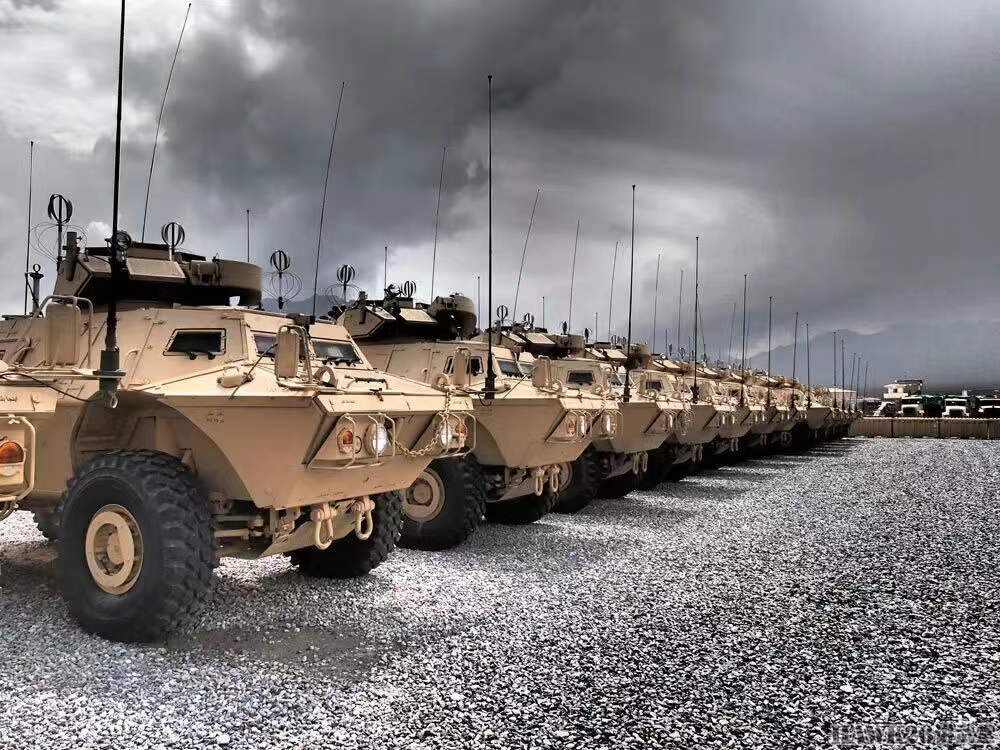 美国国防部采购65辆轻型装甲车 将用于援助乌克兰 曾提供给阿富汗