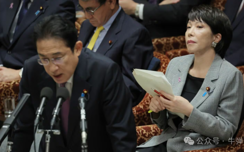 日本大变局开始，接下来更有看头