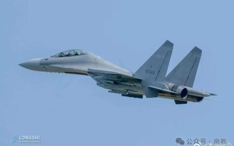 歼-16同时锁定外军两架隐身战机－背后的信息