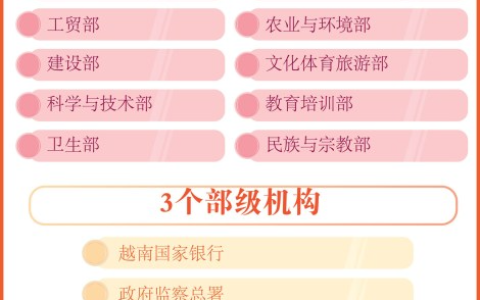 越南机构改革怎么样了？