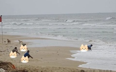 加拿大网友气吐血！印度裔经理强迫17岁女员工“假结婚，真移民”