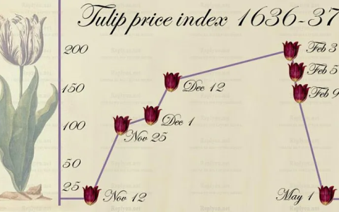 安世半导体停薪、拉黑中国员工！我们该如何反制？