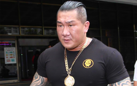 馆长跌落神坛意料之中，台湾需要打扫屋子再迎客的