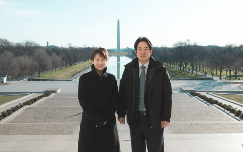 蛙岛，还在捣糨糊！