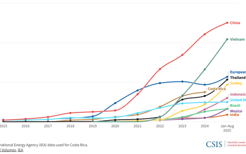 中国之外的电动汽车