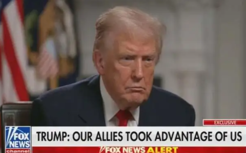 高市早苗偷鸡不成蚀把米