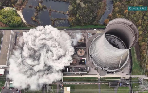 白左是怎么摧毁德国的？