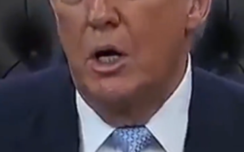 特28条诞生，谁签谁就是卖国贼