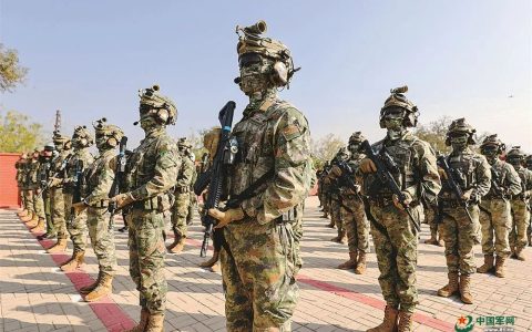 居然装备部队了！中国特种部队拿出QN-202微型导弹，1人可带6枚！巴铁不下单吗？