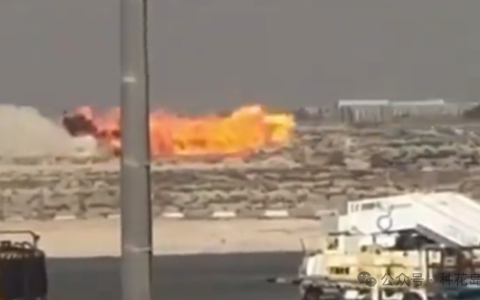 大俄进一步干掉印度军工能力！