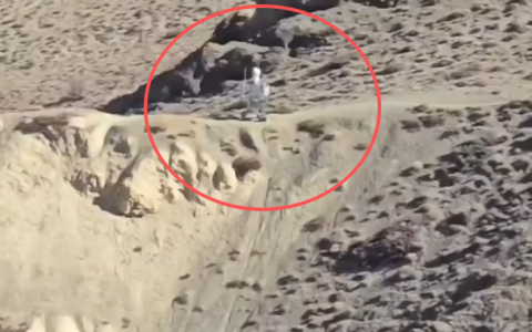 没有可比性！！