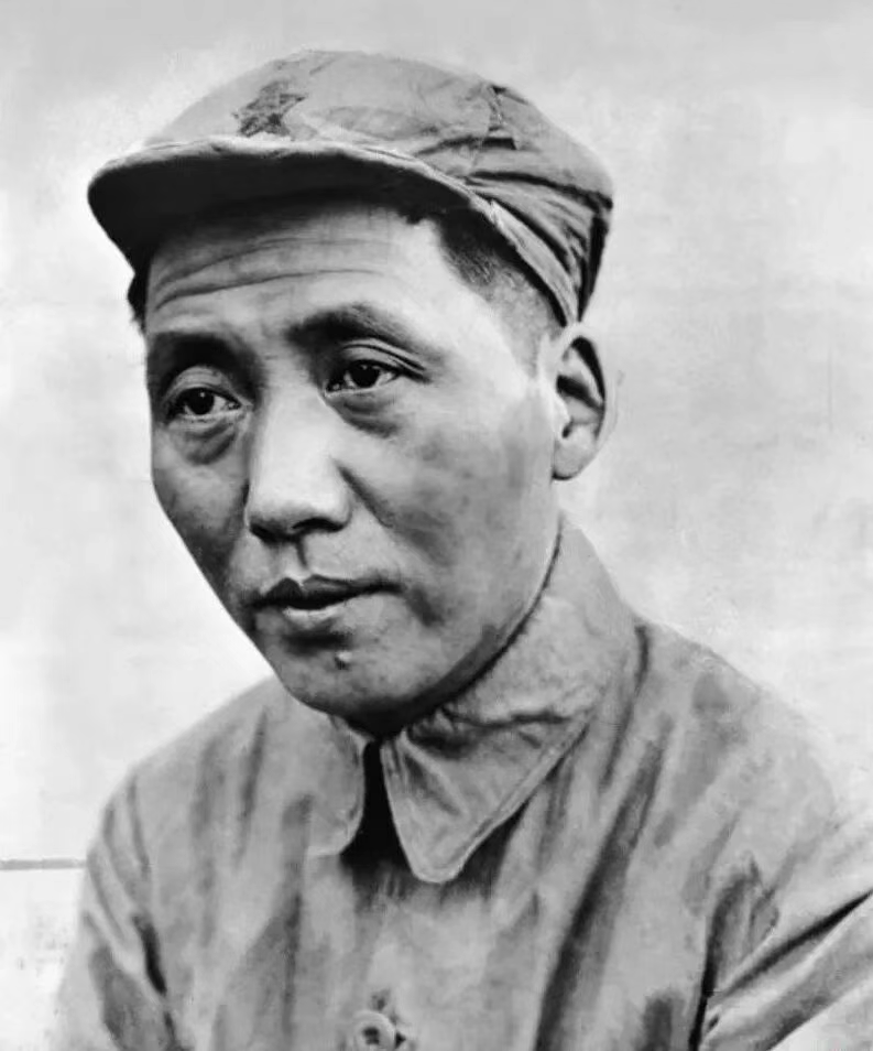 天不生润之，万古如长夜！