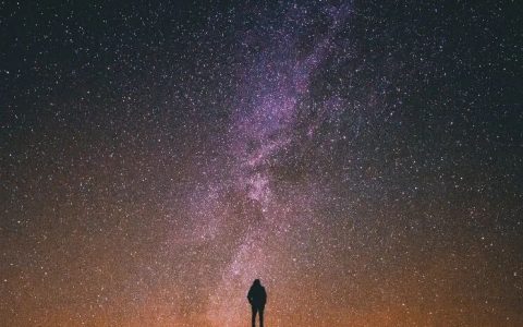 国家及时出手了！