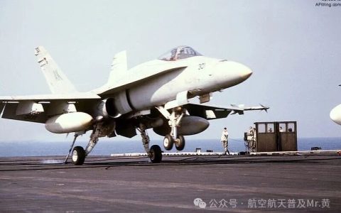 美军王牌战机被自家巡洋舰击落，F/A-18超级大黄蜂光环下的尴尬现实