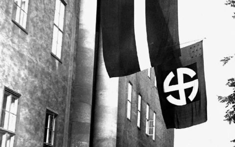 德国国防军再现闪电战，44小时，零伤亡撤退！