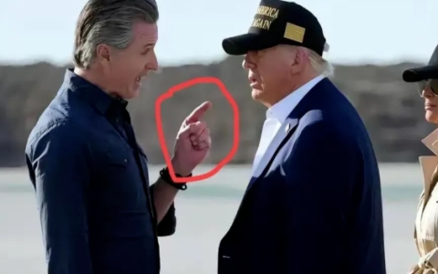 分家，站队！！