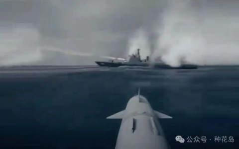 西方对华，陷入集体自嗨！