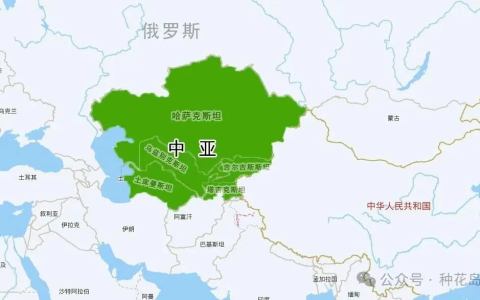 继续失血，中亚加速脱离俄罗斯！