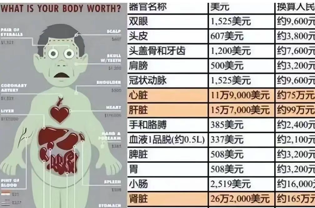 人不是高达，拆了长不出来