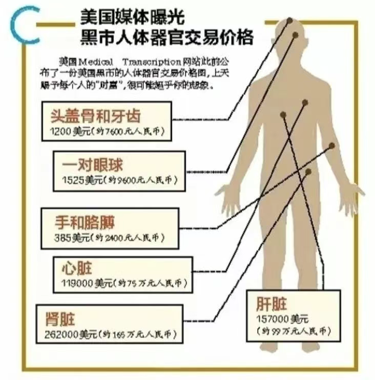 人不是高达，拆了长不出来