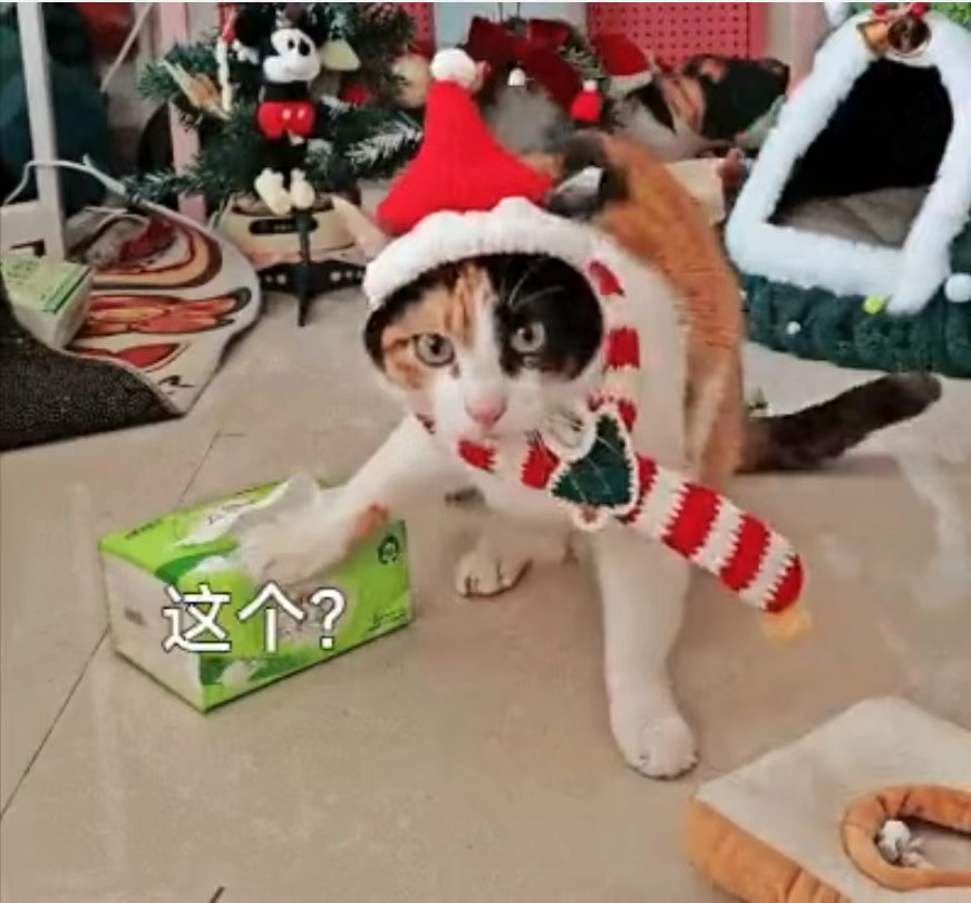 美国威逼下，加拿大求生欲望很强，总理请求访华