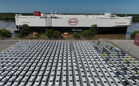 零关税，阿根廷为什么对中国电动汽车敞开大门？