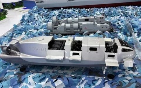 中国在沙特展示蛙人投送系统