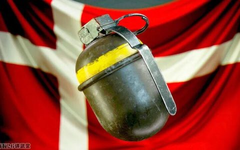 图说：丹麦M/54防御手榴弹 剑走偏锋 力大砖飞 使用环境非常特殊