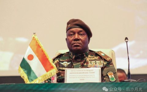 尼日尔突然对法国宣战！马克龙怎么办？