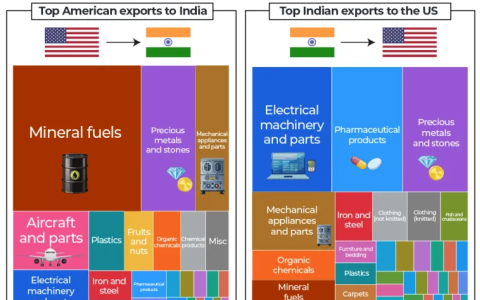 特朗普让印度认清了自己的角色