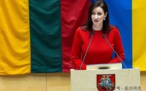 挨了中国铁拳，立陶宛总理认错！但她仍搞不清楚状况