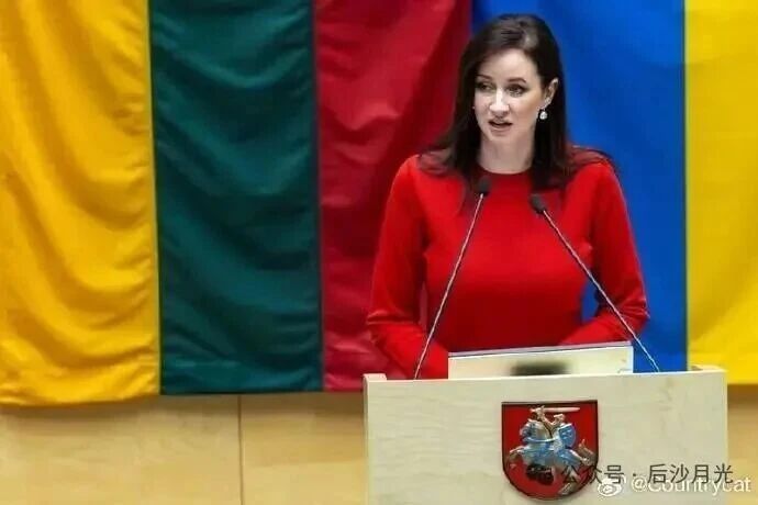 挨了中国铁拳,立陶宛总理认错!但她仍搞不清楚状况