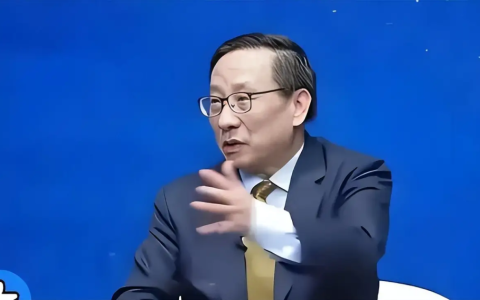 高志凯用“一票否决权”，在迪拜论坛上，给印度学者上了一课！