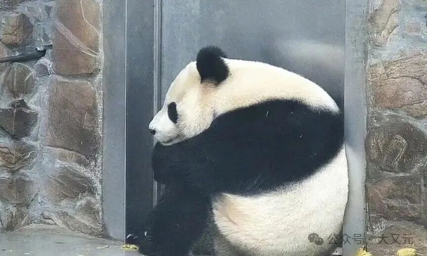 全服都杀疯了,为什么中国能稳如泰山?