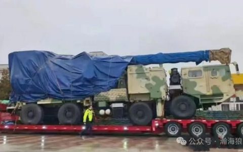 好家伙，这次只能说好家伙！