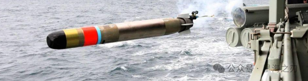 为什么055大驱不用533毫米重型鱼雷？