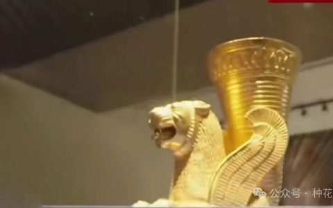 一动作表明，伊朗正在做更大战争准备！