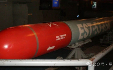 为什么055大驱不用533毫米重型鱼雷？