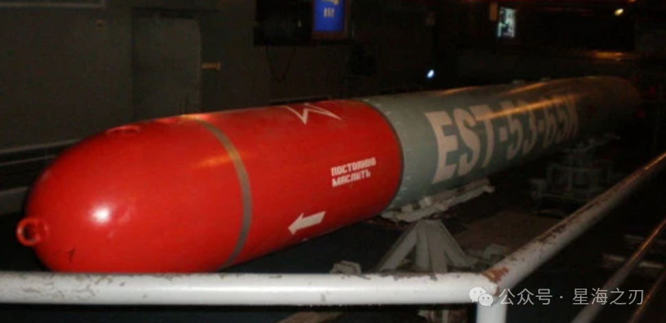 为什么055大驱不用533毫米重型鱼雷？