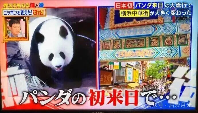 日本“降级”中日关系，​透着一股绝望的气息！