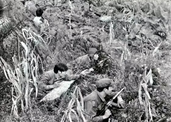 不费一枪一弹，老山前线第六侦察大队南利河口诱捕越军特工！