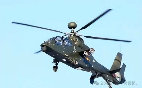 中国陆航的直-10B：一场迟来却恰逢其时的技术革命