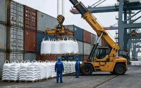 傲慢与短视的代价：印度化肥自主梦，从破局希望到荒原摆设