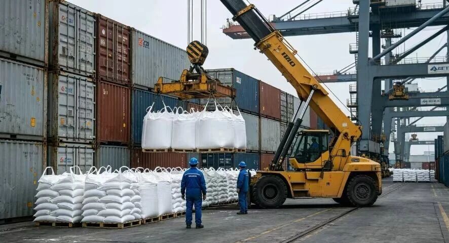 傲慢与短视的代价：印度化肥自主梦，从破局希望到荒原摆设